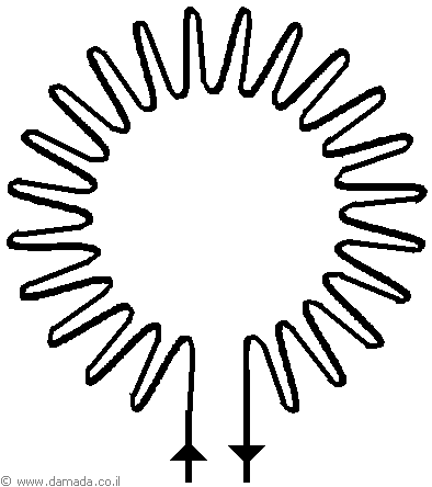 טורואיד
